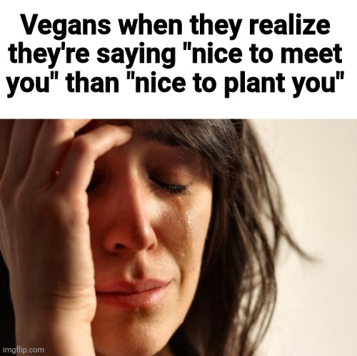 First World Problems | Vegans when they realize they're saying "nice to meet you" than "nice to plant you" | image tagged in memes,first world problems,funny | made w/ Imgflip meme maker