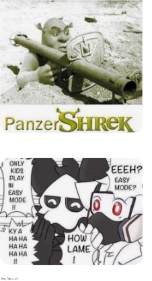 There’s 2 types of pintrest posts. | image tagged in repost lmao | made w/ Imgflip meme maker