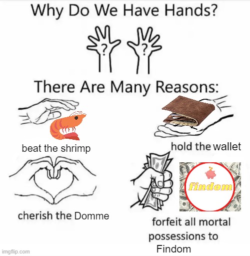 Why do we have hands Findom | wallet; beat the shrimp; Domme; Findom | image tagged in why do we have hands all blank | made w/ Imgflip meme maker