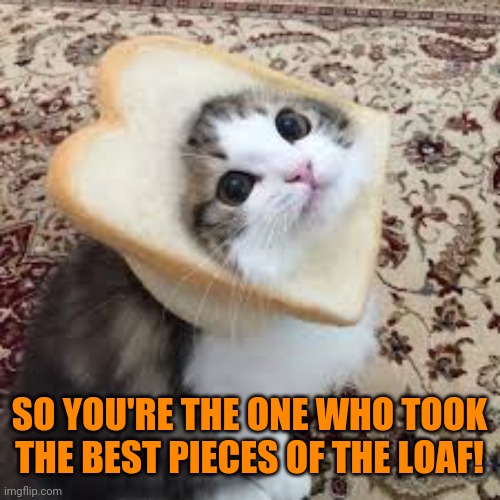 Bread cat | SO YOU'RE THE ONE WHO TOOK THE BEST PIECES OF THE LOAF! | image tagged in bread cat | made w/ Imgflip meme maker
