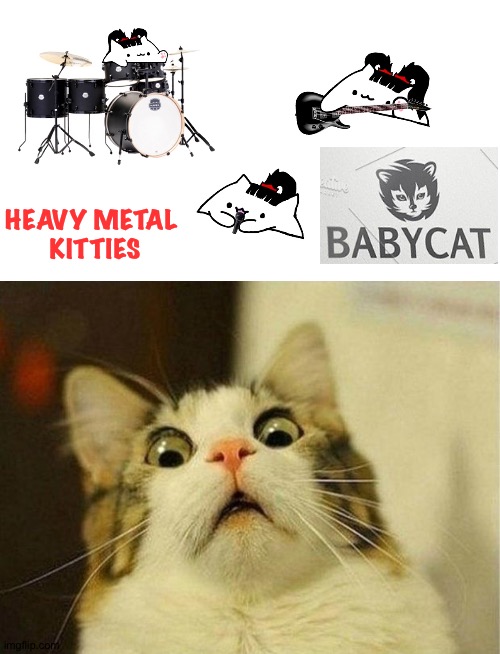 What a nightmare! | HEAVY METAL 
KITTIES | image tagged in frightened cat | made w/ Imgflip meme maker
