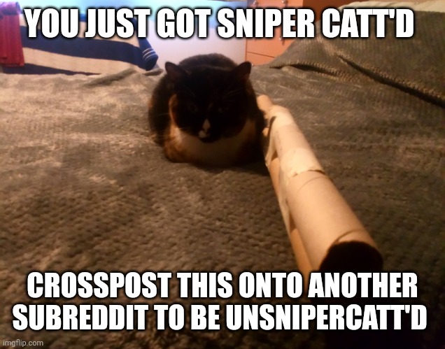 You just got sniper catt'd | YOU JUST GOT SNIPER CATT'D; CROSSPOST THIS ONTO ANOTHER SUBREDDIT TO BE UNSNIPERCATT'D | image tagged in sniper catt'd | made w/ Imgflip meme maker