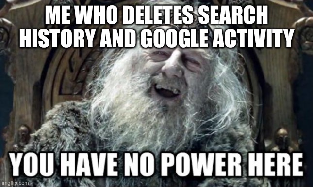 you have no power here | ME WHO DELETES SEARCH HISTORY AND GOOGLE ACTIVITY | image tagged in you have no power here | made w/ Imgflip meme maker