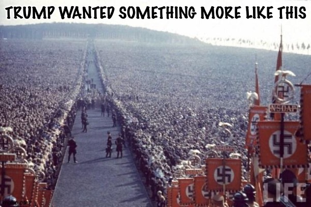 Nazi Rally | TRUMP WANTED SOMETHING MORE LIKE THIS | image tagged in nazi rally | made w/ Imgflip meme maker