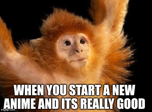 anime happiness | WHEN YOU START A NEW ANIME AND ITS REALLY GOOD | image tagged in happiness monkey,anime,monkys,bizzare | made w/ Imgflip meme maker