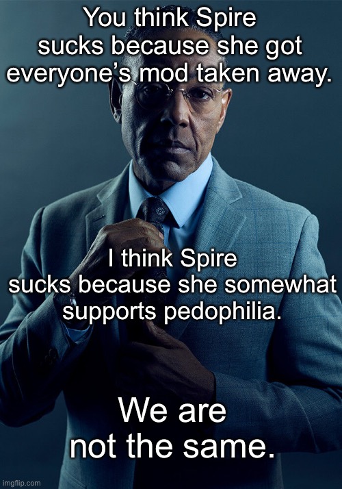 Gus Fring we are not the same | You think Spire sucks because she got everyone’s mod taken away. I think Spire sucks because she somewhat supports pedophilia. We are not the same. | image tagged in gus fring we are not the same | made w/ Imgflip meme maker