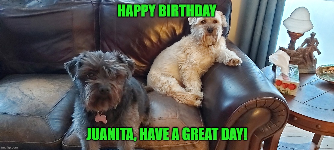 Juanita birthday | HAPPY BIRTHDAY; JUANITA, HAVE A GREAT DAY! | image tagged in happy birthday | made w/ Imgflip meme maker