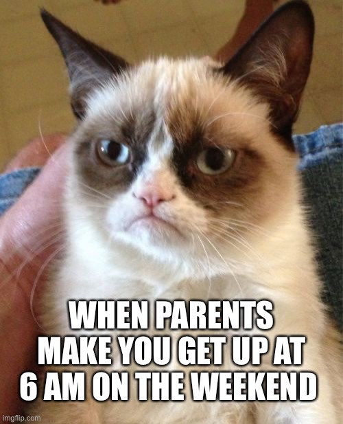 Parents | WHEN PARENTS MAKE YOU GET UP AT 6 AM ON THE WEEKEND | image tagged in memes,grumpy cat,parents | made w/ Imgflip meme maker