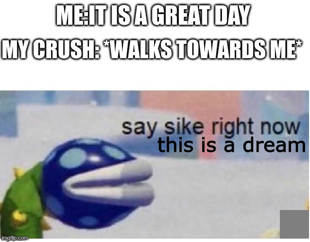 say sike right now | MY CRUSH: *WALKS TOWARDS ME*; ME:IT IS A GREAT DAY; this is a dream | image tagged in say sike right now | made w/ Imgflip meme maker