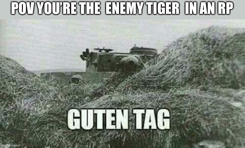 German guten tag tiger | POV YOU’RE THE  ENEMY TIGER  IN AN RP | image tagged in german guten tag tiger | made w/ Imgflip meme maker