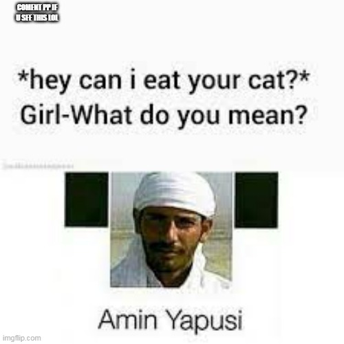 amin yapusi | COMENT PP IF U SEE THIS LOL | image tagged in memes | made w/ Imgflip meme maker