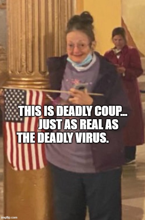 Meemaw at the capitol | THIS IS DEADLY COUP...      JUST AS REAL AS THE DEADLY VIRUS. | image tagged in meemaw at the capitol | made w/ Imgflip meme maker