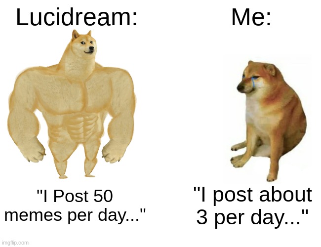 Clever Title 6 | Lucidream:; Me:; "I Post 50 memes per day..."; "I post about 3 per day..." | image tagged in memes,buff doge vs cheems | made w/ Imgflip meme maker