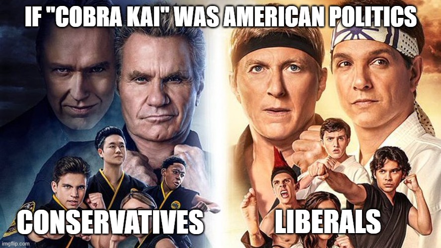 Cobra Kai - US Politics | IF "COBRA KAI" WAS AMERICAN POLITICS; LIBERALS; CONSERVATIVES | image tagged in conservatives,liberals,political humor | made w/ Imgflip meme maker