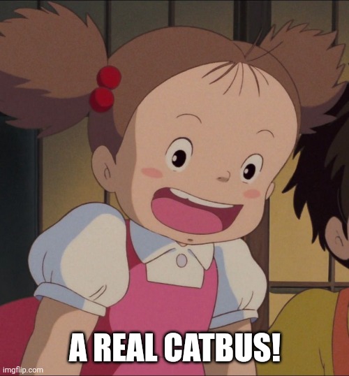 A REAL CATBUS! | made w/ Imgflip meme maker