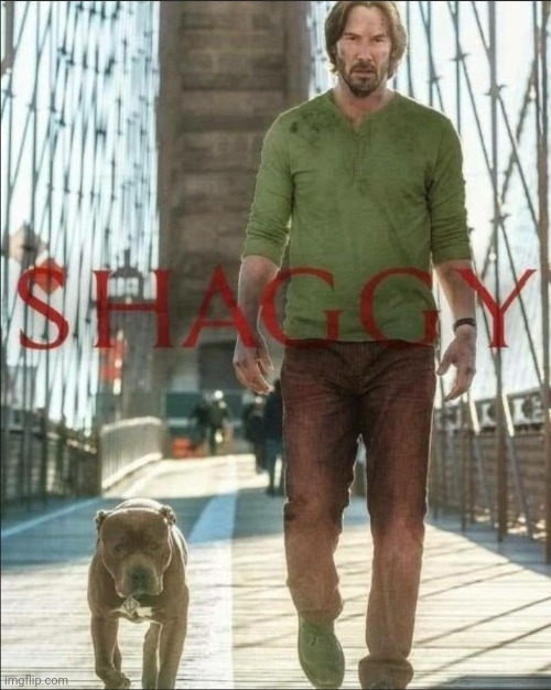 Shaggy | image tagged in shaggy | made w/ Imgflip meme maker