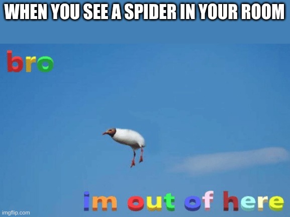 bro im out of here | WHEN YOU SEE A SPIDER IN YOUR ROOM | image tagged in bro im out of here | made w/ Imgflip meme maker