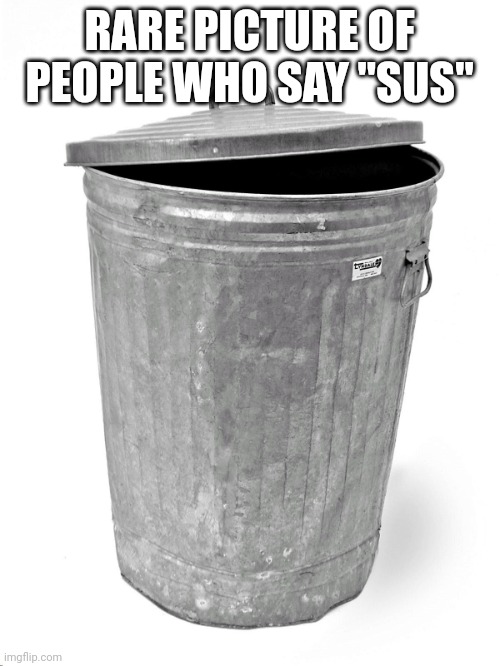 Trash Can | RARE PICTURE OF PEOPLE WHO SAY "SUS" | image tagged in trash can | made w/ Imgflip meme maker