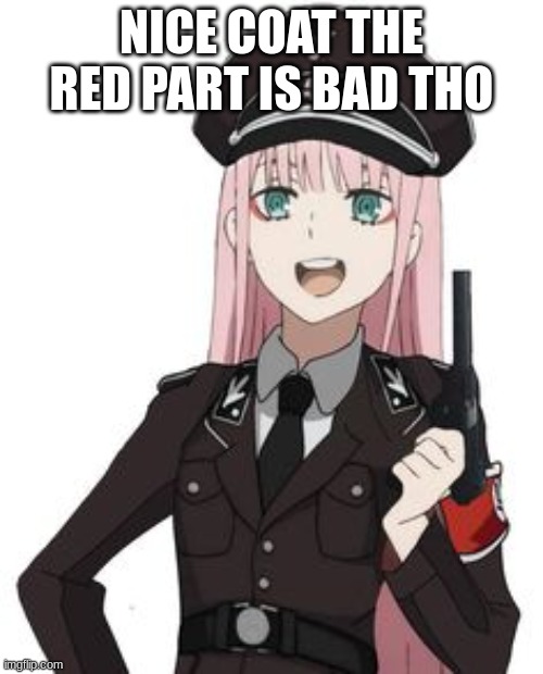 cool coat my dude | NICE COAT THE RED PART IS BAD THO | image tagged in nazi waifu | made w/ Imgflip meme maker