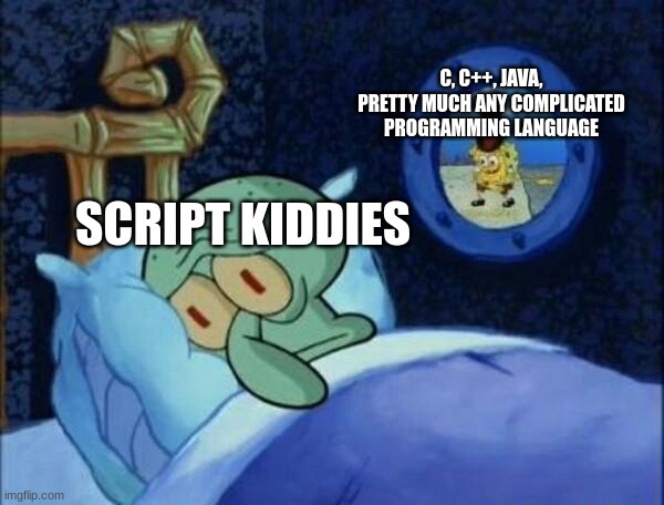 script kiddies are annoying | C, C++, JAVA, PRETTY MUCH ANY COMPLICATED PROGRAMMING LANGUAGE; SCRIPT KIDDIES | image tagged in cowboy spongebob | made w/ Imgflip meme maker