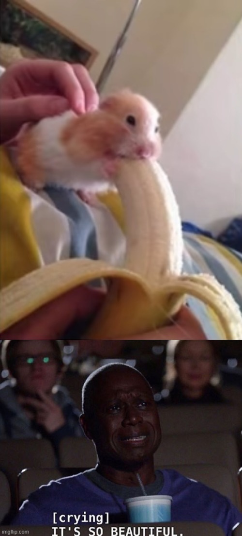 image tagged in it's so beautiful | made w/ Imgflip meme maker