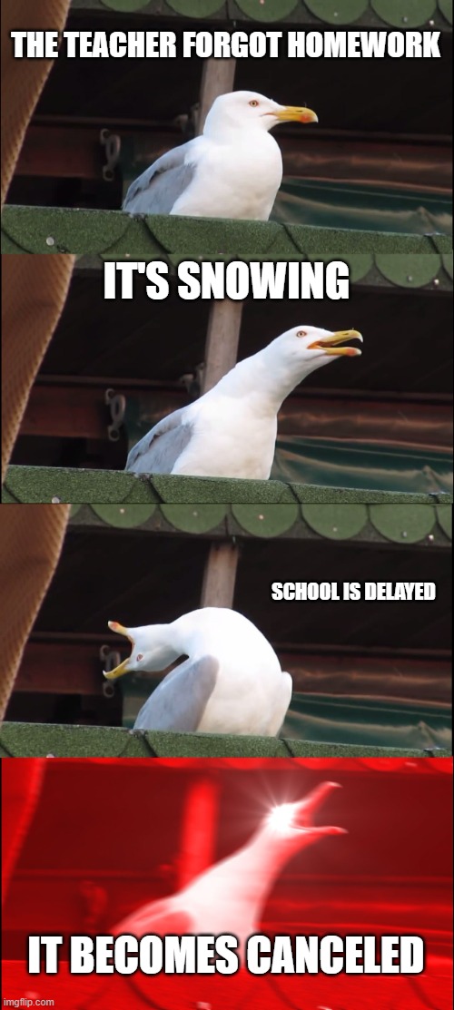 Inhaling Seagull | THE TEACHER FORGOT HOMEWORK; IT'S SNOWING; SCHOOL IS DELAYED; IT BECOMES CANCELED | image tagged in memes,inhaling seagull | made w/ Imgflip meme maker