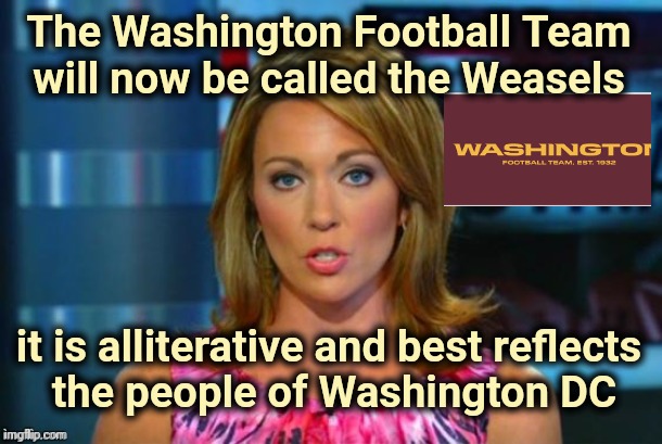 It works for me |  The Washington Football Team will now be called the Weasels; it is alliterative and best reflects
 the people of Washington DC | image tagged in real news network,politicians suck,liars,rotten,elitist,the lowest scum in history | made w/ Imgflip meme maker