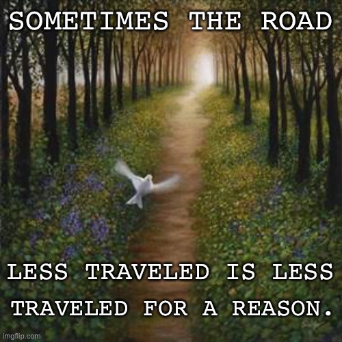 Road Less | SOMETIMES THE ROAD; LESS TRAVELED IS LESS; TRAVELED FOR A REASON. | image tagged in reflection | made w/ Imgflip meme maker