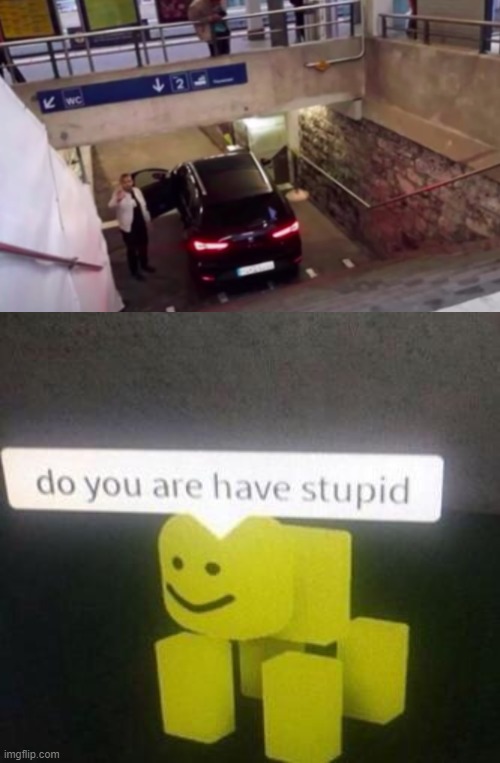 he thought that's a parking | image tagged in do you have stupid | made w/ Imgflip meme maker