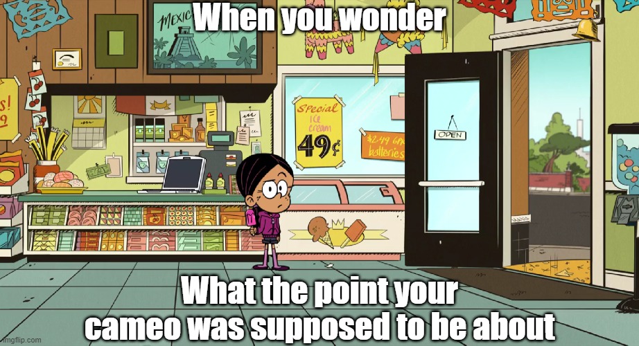 Ronnie Anne questions her appearance | When you wonder; What the point your cameo was supposed to be about | image tagged in the loud house | made w/ Imgflip meme maker