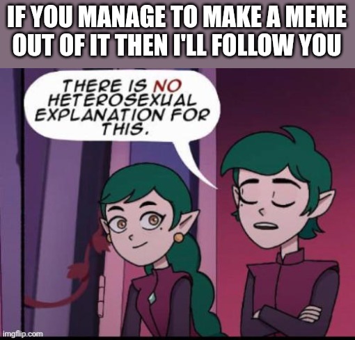 IF YOU MANAGE TO MAKE A MEME OUT OF IT THEN I'LL FOLLOW YOU | image tagged in there is no heterosexual | made w/ Imgflip meme maker