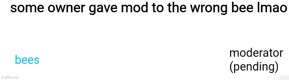some owner gave mod to the wrong bee lmao | made w/ Imgflip meme maker