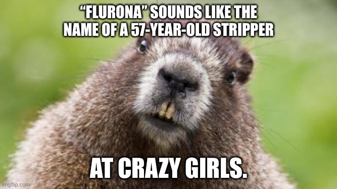 Flurona | “FLURONA” SOUNDS LIKE THE
NAME OF A 57-YEAR-OLD STRIPPER; AT CRAZY GIRLS. | image tagged in mr beaver,memes,flu,covid,stripper,bad joke | made w/ Imgflip meme maker