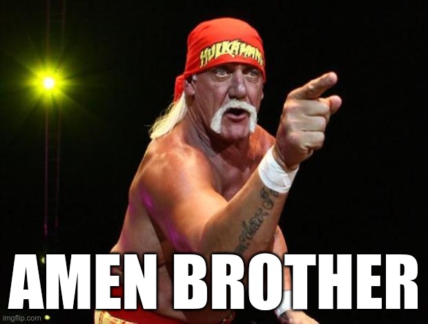 Hulk Hogan | AMEN BROTHER | image tagged in hulk hogan | made w/ Imgflip meme maker