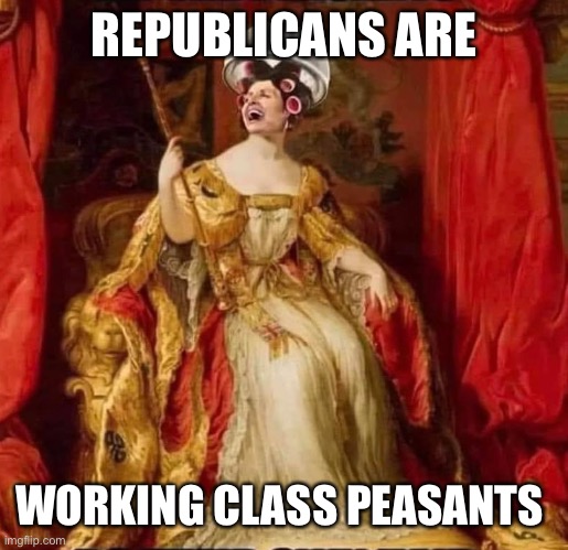 Democrats are smarter | REPUBLICANS ARE WORKING CLASS PEASANTS | image tagged in nancy the queen,lol,gunny,funny memes,meme | made w/ Imgflip meme maker