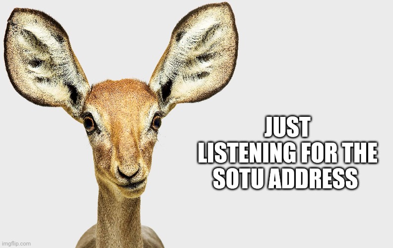 JUST LISTENING FOR THE SOTU ADDRESS | image tagged in funny memes | made w/ Imgflip meme maker