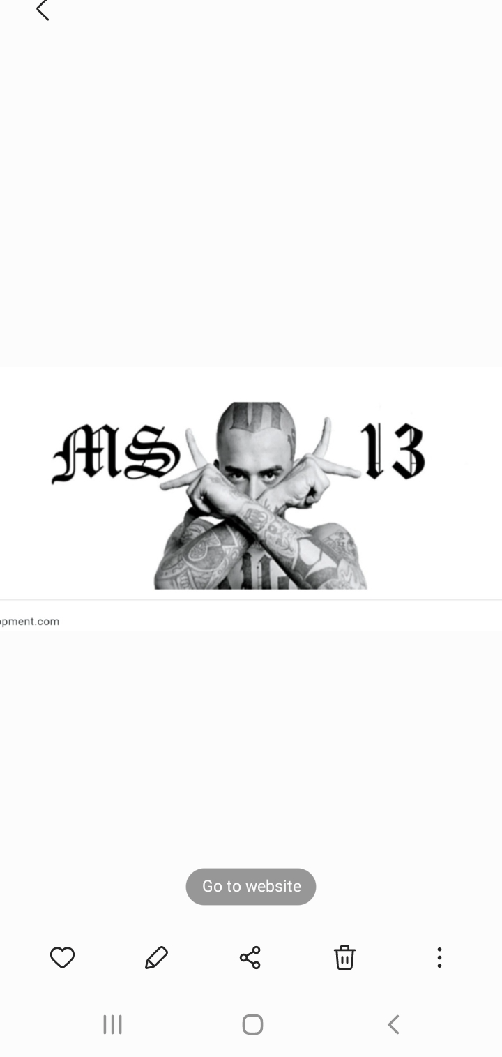 Fun Blank Meme Template