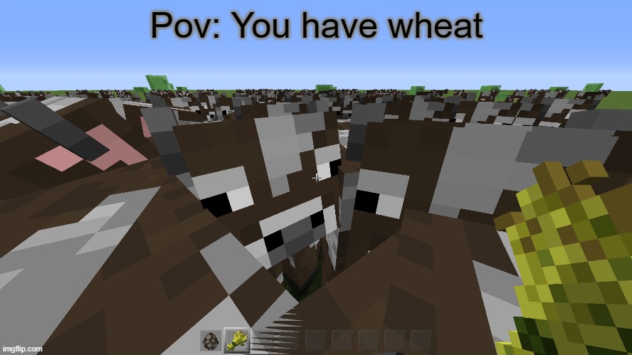 Image Title | Pov: You have wheat | image tagged in minecraft,cow | made w/ Imgflip meme maker