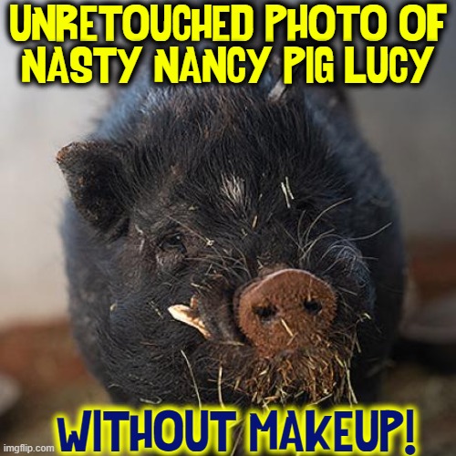 UNRETOUCHED PHOTO OF
NASTY NANCY PIG LUCY WITHOUT MAKEUP! | made w/ Imgflip meme maker
