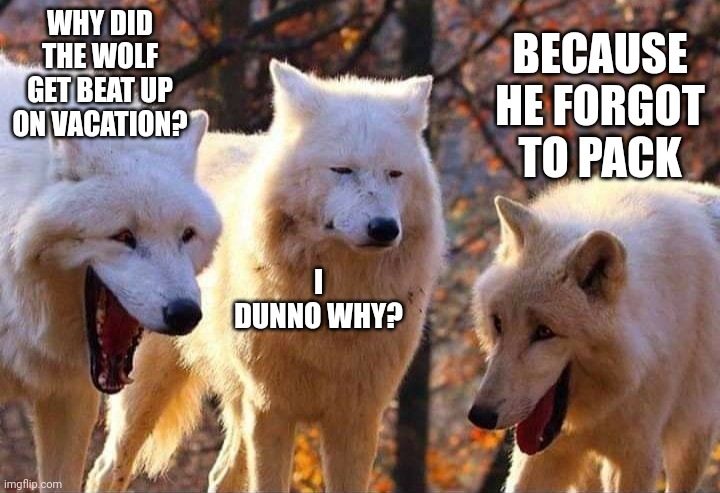 Laughing wolf | WHY DID THE WOLF GET BEAT UP ON VACATION? BECAUSE HE FORGOT TO PACK; I DUNNO WHY? | image tagged in laughing wolf | made w/ Imgflip meme maker