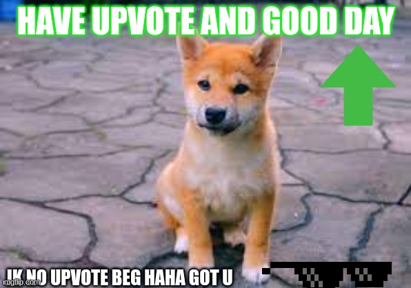 JK lol ;p | HAVE UPVOTE AND GOOD DAY; JK NO UPVOTE BEG HAHA GOT U | image tagged in doge,upvote | made w/ Imgflip meme maker
