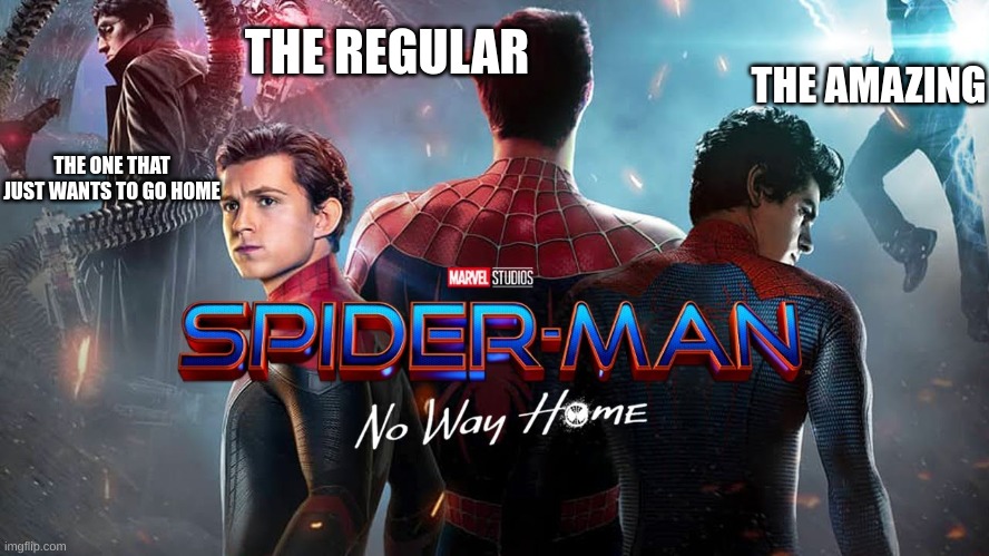 THE REGULAR; THE AMAZING; THE ONE THAT JUST WANTS TO GO HOME | image tagged in spiderman | made w/ Imgflip meme maker