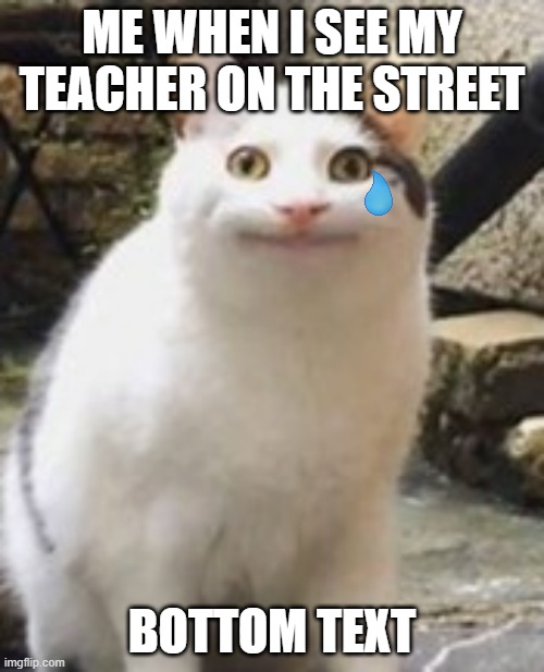 pain | ME WHEN I SEE MY TEACHER ON THE STREET; BOTTOM TEXT | image tagged in beluga cat sus | made w/ Imgflip meme maker