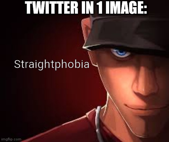 Customphobia | TWITTER IN 1 IMAGE:; Straightphobia | image tagged in customphobia | made w/ Imgflip meme maker