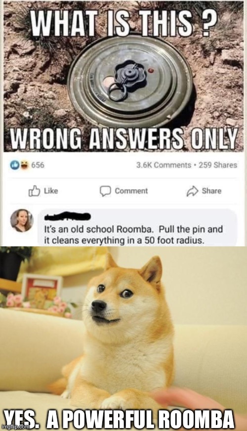 That’s one effective roomba | YES.  A POWERFUL ROOMBA | image tagged in memes,doge 2 | made w/ Imgflip meme maker