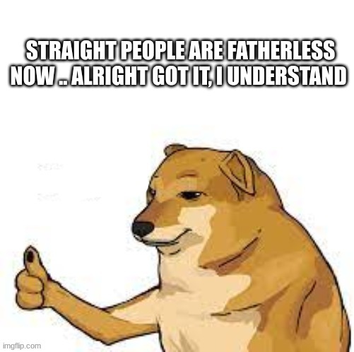 woaHHh | STRAIGHT PEOPLE ARE FATHERLESS NOW .. ALRIGHT GOT IT, I UNDERSTAND | image tagged in cheems thumbs up | made w/ Imgflip meme maker