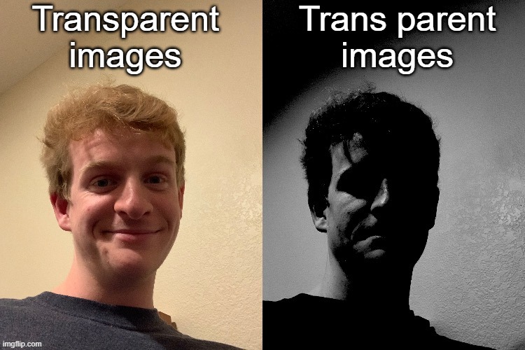 TheLargePig becoming slightly uncanny | Transparent images; Trans parent
images | image tagged in thelargepig becoming slightly uncanny | made w/ Imgflip meme maker