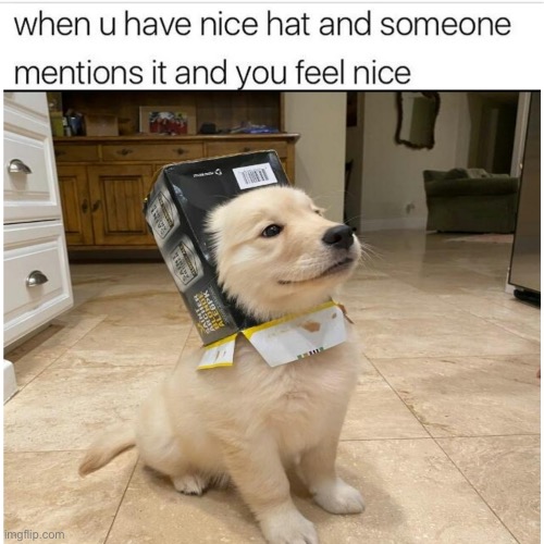 that’s a nice feeling | made w/ Imgflip meme maker