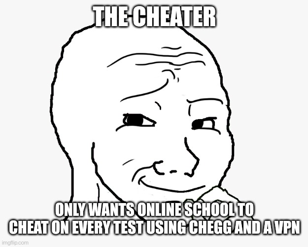 smug wojak | THE CHEATER; ONLY WANTS ONLINE SCHOOL TO CHEAT ON EVERY TEST USING CHEGG AND A VPN | image tagged in smug wojak | made w/ Imgflip meme maker