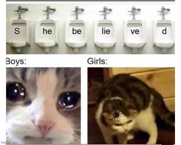 image tagged in funny memes | made w/ Imgflip meme maker